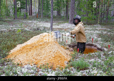 Una giovane archeologa scavare nella taiga siberiana Foto Stock