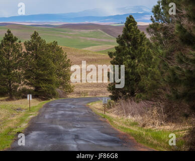 Strada che scende da Steptoe Butte in Eastern Washington. Foto Stock