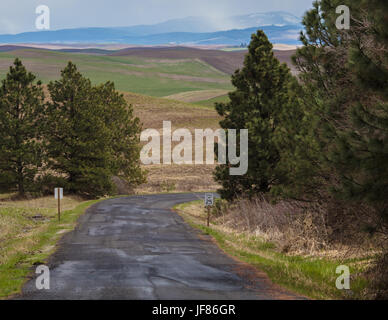 Strada che scende da Steptoe Butte in Eastern Washington. Foto Stock