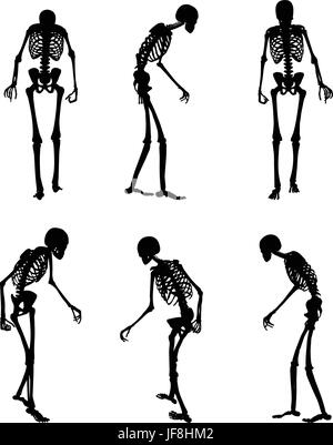 Silhouette di scheletro nella vecchia a piedi pongono Illustrazione Vettoriale