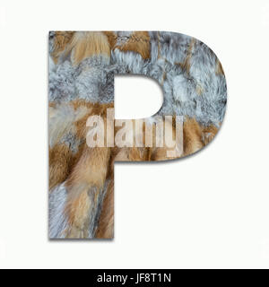 P red fox fur in un font addestrato Foto Stock