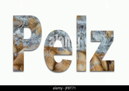 Red Fox fur in un font addestrato Foto Stock