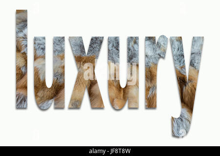 Luxury red fox fur in un font addestrato Foto Stock