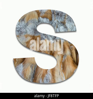 S red fox fur in un font addestrato Foto Stock