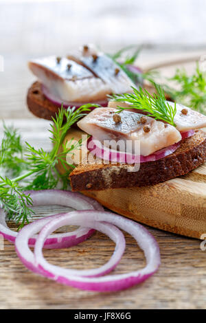 Cipolla rossa e le aringhe su pane di segale. Foto Stock