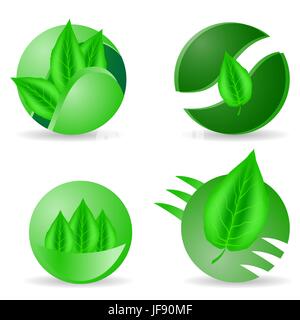 Set di foglie verdi icone isolati su sfondo bianco Illustrazione Vettoriale