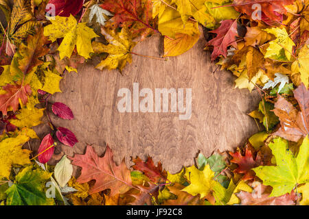 Cornice fatta di foglie di autunno su legno. Colori d'autunno sfondo Foto Stock