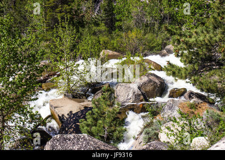 Fiume Impetuoso dalla Montagna neve la fusione Foto Stock