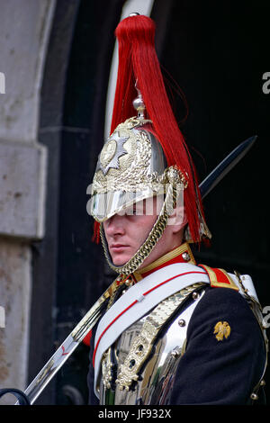 I soldati della divisione di uso domestico (blu & Royals) London Foto Stock