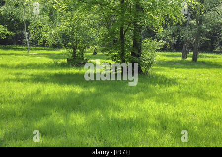 Paesaggio protetto vicino a Waldenburg, Germania Foto Stock