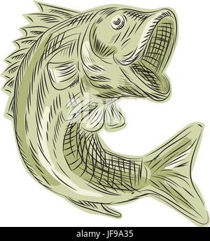 Largemouth Bass attacco di pesce Illustrazione Vettoriale