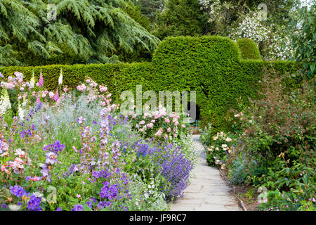 Estate colorato giardino con un percorso a piedi attraverso i fiori in fiore e verde siepe tagliati . Foto Stock
