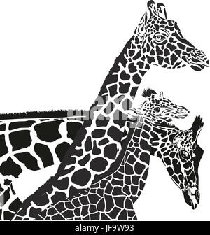 Teste di giraffa Illustrazione Vettoriale