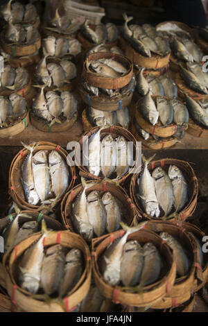 Tailandia Bangkok THEWET FISCH MARKET Foto Stock