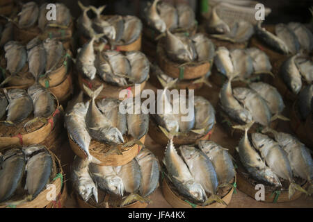 Tailandia Bangkok THEWET FISCH MARKET Foto Stock