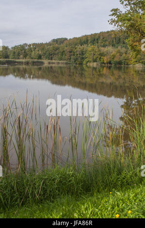 Piscina lago le montagne Waldenburg Foto Stock