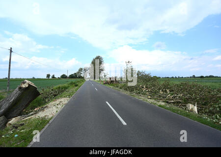 Mazovia, Polonia. Il 30 giugno, 2017. Tempesta unrooted alberi in Mazovia, provocando pause per elettricità e telecomunicazioni. Heavy Rain e tempesta continuano ad attraversare il paesaggio. Credito: Jake Ratz/Alamy Live News Foto Stock