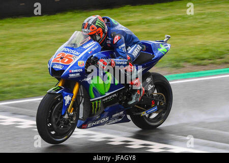 Hohenstein-ernstthal, Germania. Il 30 giugno, 2017. Maverick Viñales di Spagna e Movistar Yamaha MotoGP in azione durante il MotoGp di Germania - Libere al Sachsenring circuito su Giugno 30, 2017 in Hohenstein-ernstthal, Germania. Credito: marco iorio/Alamy Live News Foto Stock