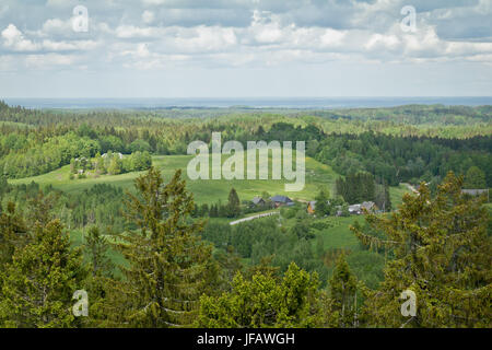 Vista dal Munamagi, Estonia Foto Stock