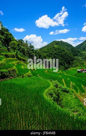 Bangaan in terrazze di riso di Banaue, Northern Luzon, Filippine Foto Stock