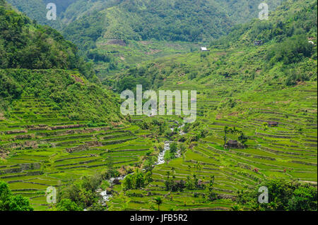 Hapao terrazze di riso parte del patrimonio mondiale vista Banaue, Luzon, Filippine Foto Stock