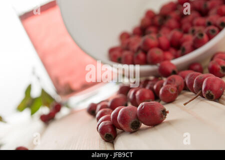 Bere da essiccato biancospino bacche Foto Stock