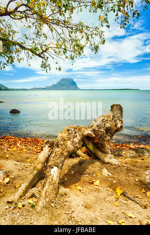 Seascape. Le Morne su uno sfondo Foto Stock
