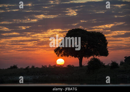 Tramonto al fiume Chobe Foto Stock