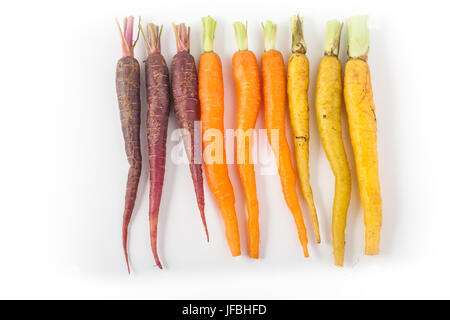 Baby Rainbow carote su sfondo bianco Foto Stock