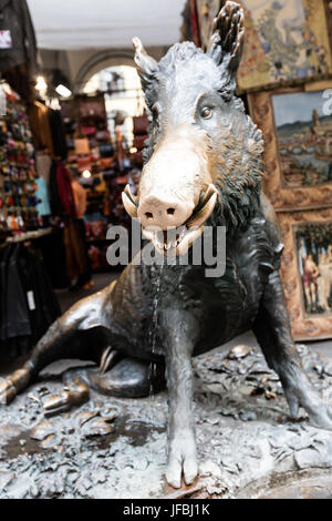 I suini di Trevi a Firenze Foto Stock