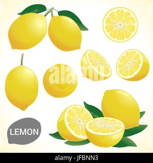 Set di limone in vari stili in formato vettoriale Illustrazione Vettoriale