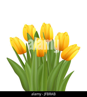 Illustrazione bel bouquet con tulipani gialli fiori isolati su sfondo bianco - Foto Stock