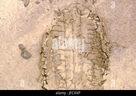 Tracce di pneumatici nel fango Foto Stock