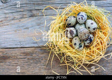 Motley uova di quaglia nel nido. Foto Stock