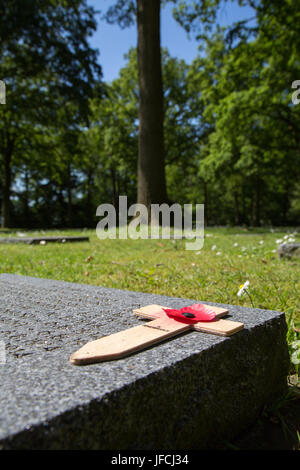 Cimitero militare tedesco Vladslo Foto Stock