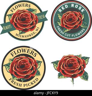 Set di fiori vintage logo, distintivi e emblemi. Illustrazione di vettore isolato su sfondo bianco. Red Rose con foglie. Illustrazione Vettoriale