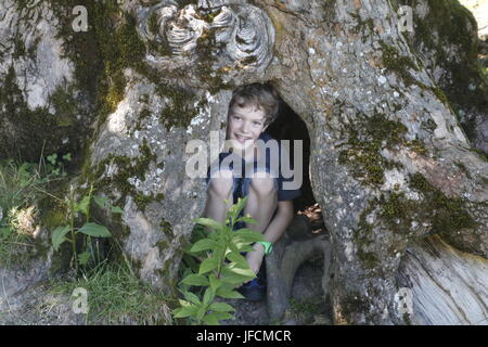 Ragazzo nascosto in un albero cavo Foto Stock