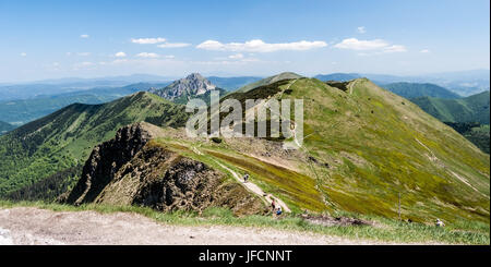 Panorama di mala Krivanska Fatra mountain range con hromove, steny, poludnovy grun, stoh, velky rozsutec e maly rozsutec collina dalla collina chleb summi Foto Stock