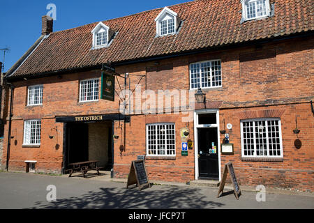 Mostra immagine: lo struzzo Inn at Castle Acre, Norfolk © Julian Wyth. Tutti i diritti riservati. Nessun uso non autorizzato. Foto Stock