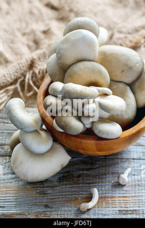 Ostriche fresche di funghi in una ciotola di legno. Foto Stock