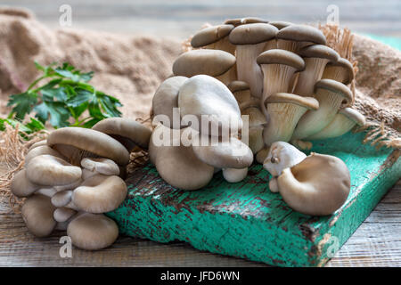 Ostrica fresca funghi. Foto Stock