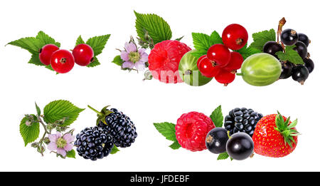 La raccolta di frutti di bosco. Lampone, mirtillo, fragole, ribes, uva spina isolata su bianco. Foto Stock