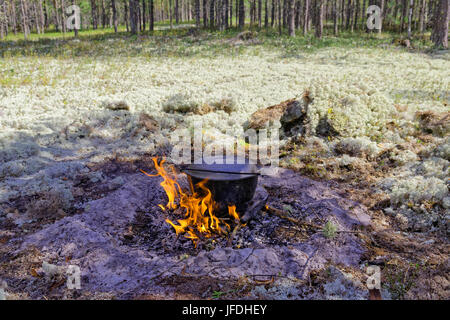 Affumicato bollitore turistica sul fuoco tra il muschio nella tundra Foto Stock