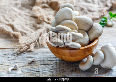 Ostriche fresche di funghi in un round ciotola di legno. Foto Stock