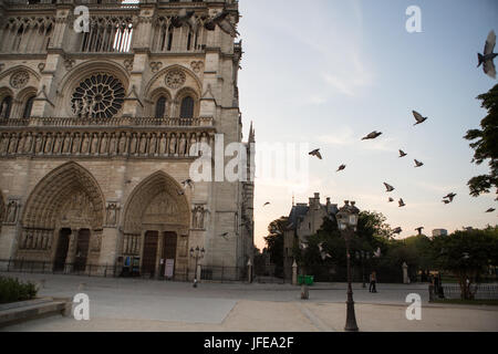 Un branco di piccioni in volo presso la cattedrale di Notre Dame. Foto Stock