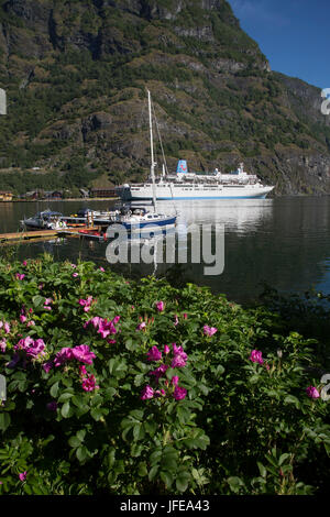 Flam villaggio in Flåmsdalen, all'estremità interna del Aurlandsfjorden Foto Stock