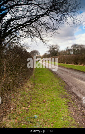 Yorkshire wolds REGNO UNITO Foto Stock