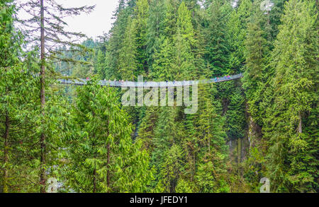 Famoso Ponte Sospeso di Capilano in Canada Foto Stock