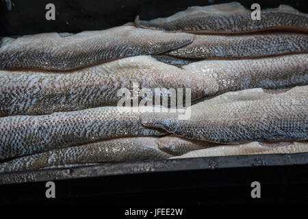 Charlevoix, Michigan - Coregone dal Lago Michigan presso la John Cross Mercato del Pesce. Foto Stock