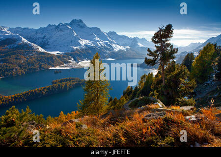 La Svizzera, Oberengadin, Silsersee Foto Stock